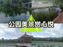 -长春市南湖公园