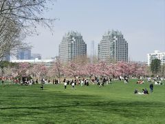 -上海世纪汇广场