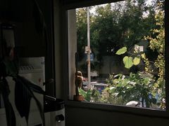 -花仓咖啡(祥安巷店)