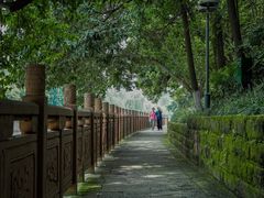 -成都市活水公园