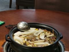 -菌之家·专业纯野生菌火锅·特色炒菌