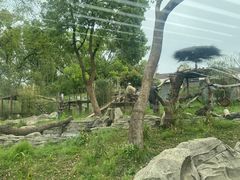 -武汉动物园