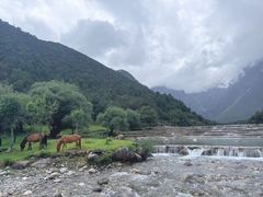 -玉湖村
