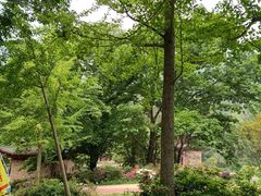 -木兰云雾山