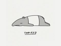 -迈德思客•汉堡•烤鸡(围墙巷店)