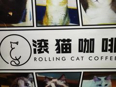 -滚猫咖啡·猫咖·猫友好撸猫(未来城店)