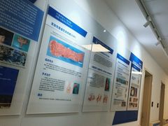 -上海市东方医院(总院)