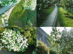 -广西壮族自治区药用植物园