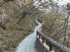 -圣莲山风景区