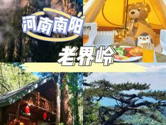 -老界岭旅游度假区
