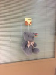 -杭州贝瑞斯美华妇儿医院·早孕·产检·儿科