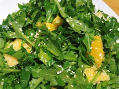 内蒙奶皮芝麻菜-蒙料·手把肉(望京店)