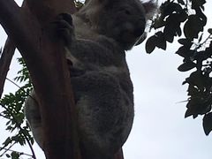 -费瑟代尔野生动物园