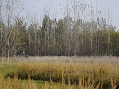 -汉长安城未央宫国家考古遗址公园