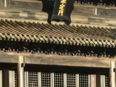 -中国紫檀博物馆