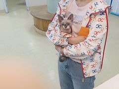 -瑞派宠物医院·24小时骨科·心脏·核磁(哈尔滨南岗店)
