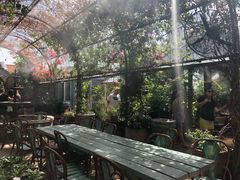 -The Grounds of Alexandria
