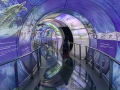 -房山世界地质公园博物馆