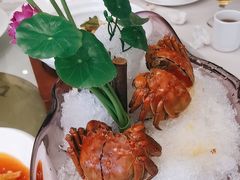 -骏莱海鲜鱼港(五角场店)