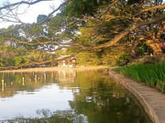 -江心屿景区