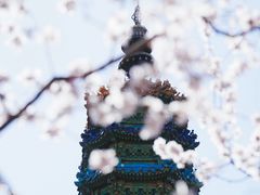 -颐和园