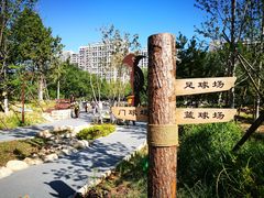 -回龙观体育文化公园