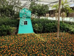 -南宫五洲植物乐园