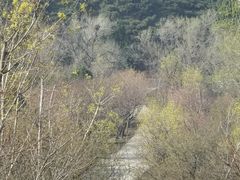 -北京西山国家森林公园