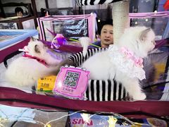 -丽达购物中心(崂山店)