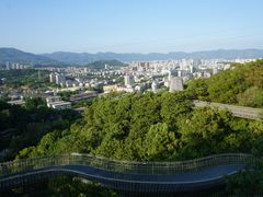 -福道