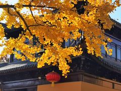 -圆通寺