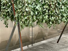 -东天目山风景区