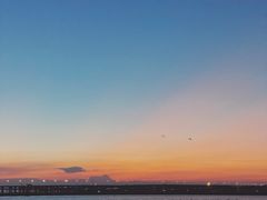 -宝安西湾红树林湿地公园