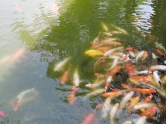 -珠海圆明新园