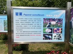 -国家植物园南园