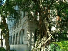 -香港大学