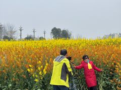 -中国天府农业博览园