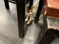 -台湾小竹(华宇广场店)