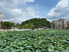 -长洲岛