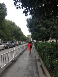 -苏州大学附属儿童医院(景德路院区)