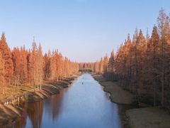 -黄海国家森林公园