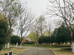 -梁鸿国家湿地公园