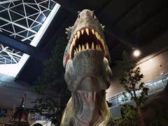 -湖南省地质博物馆