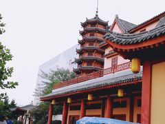 -青岛方特梦幻王国