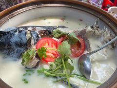-全乐鱼馆·淳牌有机鱼直营店