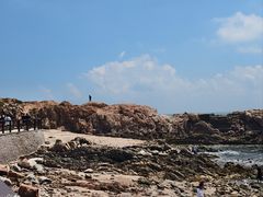 -小麦岛公园
