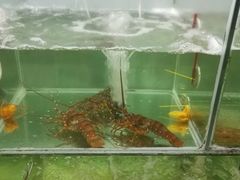 -蚝乡农庄(铁涌赤岸店)