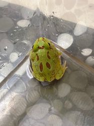 -酷嗒动物文化乐园(cutezoo西溪乐天城店)