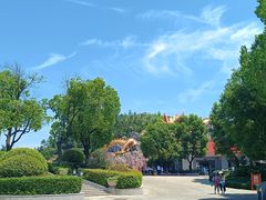 -南京银杏湖乐园