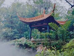 -广州兰圃